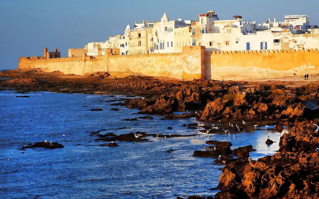 Essaouira:  Sqala du Port, Bayt Dakira, Gallery Kasbah & Medina Guided Tour Image 5
