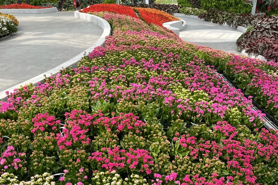 Eufloria Gardens & Sculpture Park | Genting Highlands
