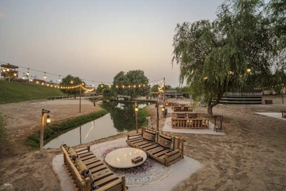 Evening desert safari in Al Marmoom with BBQ dinner from Dubai
