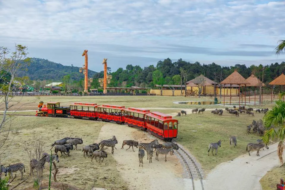 Exclusive offer on tickets to Chimelong Forest Kingdom in Qingyuan, China | Free AIRSIM SIM card included.