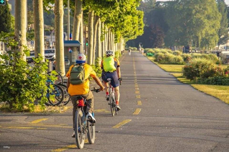 Explore Geneva in 1 hour with a local