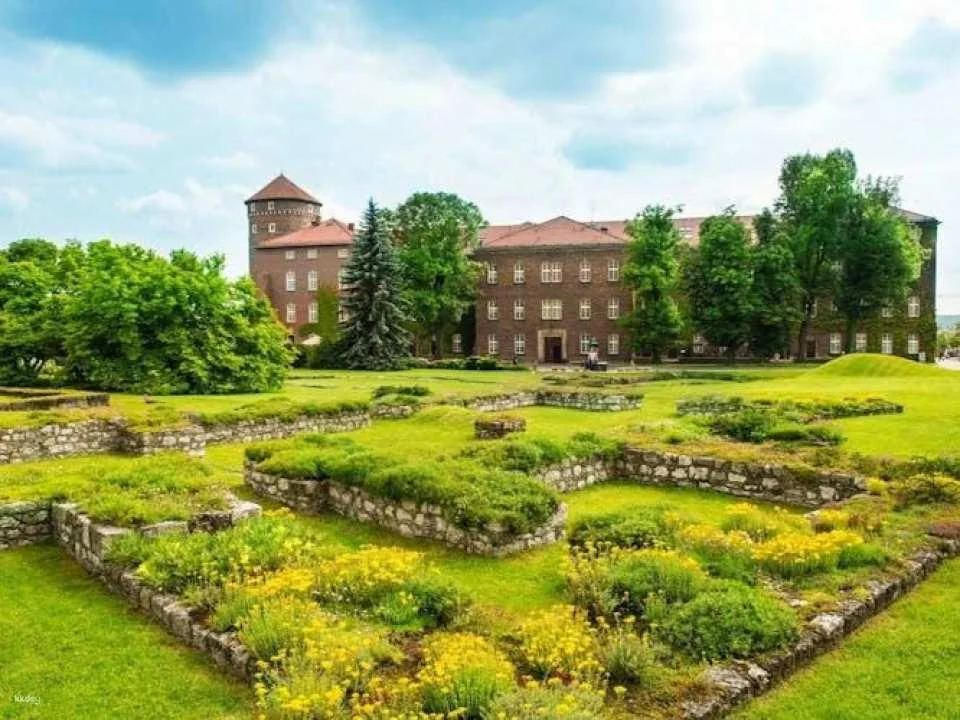 Explore Kraków's photogenic highlights with a local