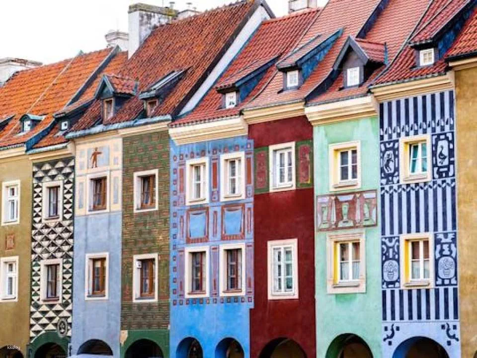 Explore Poznań's photogenic highlights with a local
