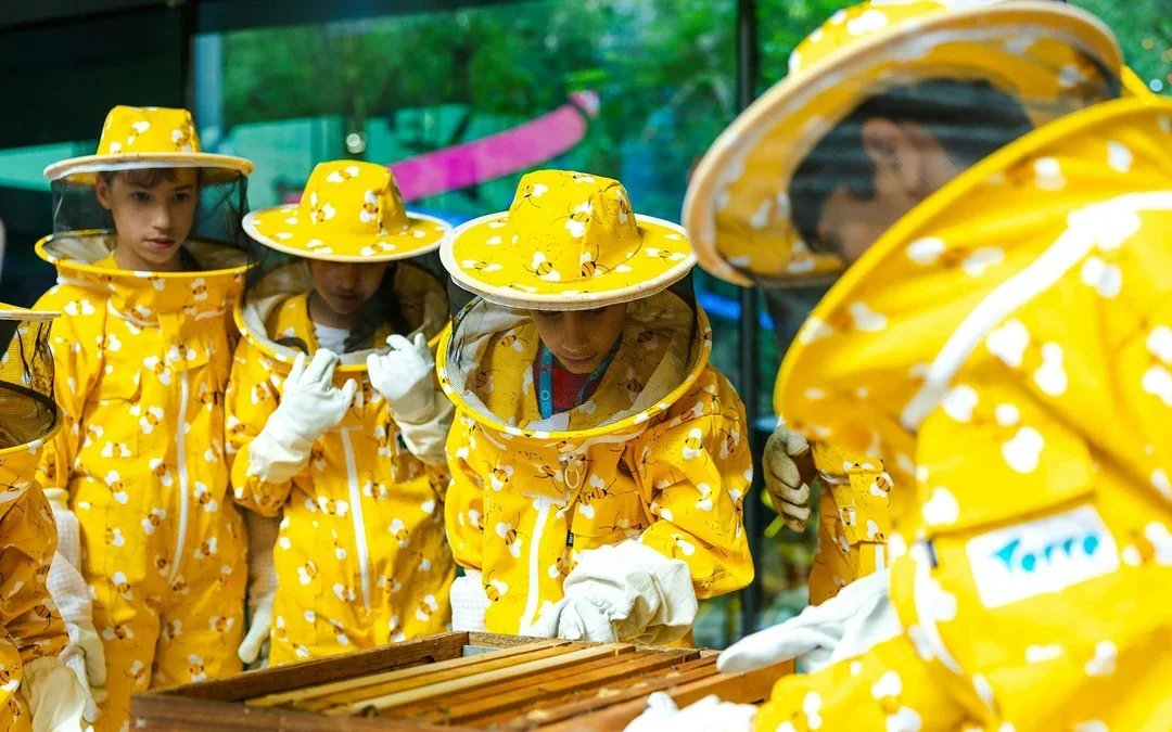 Expo City: Beeking Experience at Terra Tickets Image 12