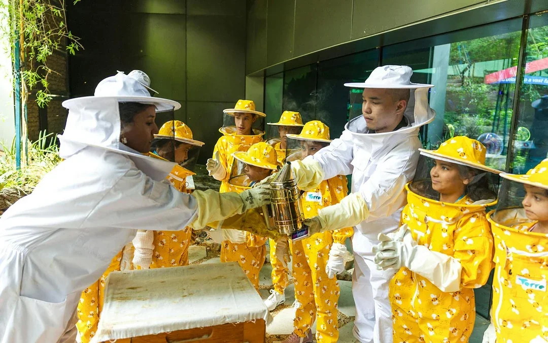 Expo City: Beeking Experience at Terra Tickets Image 3