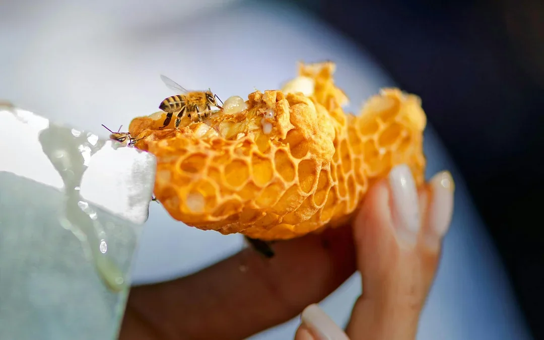 Expo City: Beeking Experience at Terra Tickets Image 4