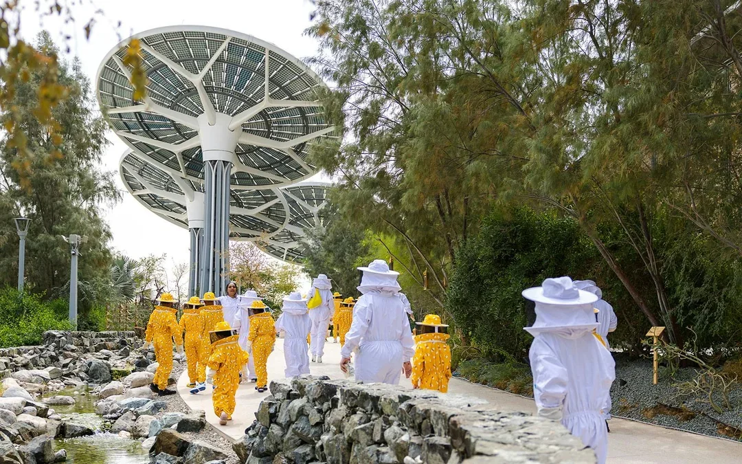 Expo City: Beeking Experience at Terra Tickets Image 5