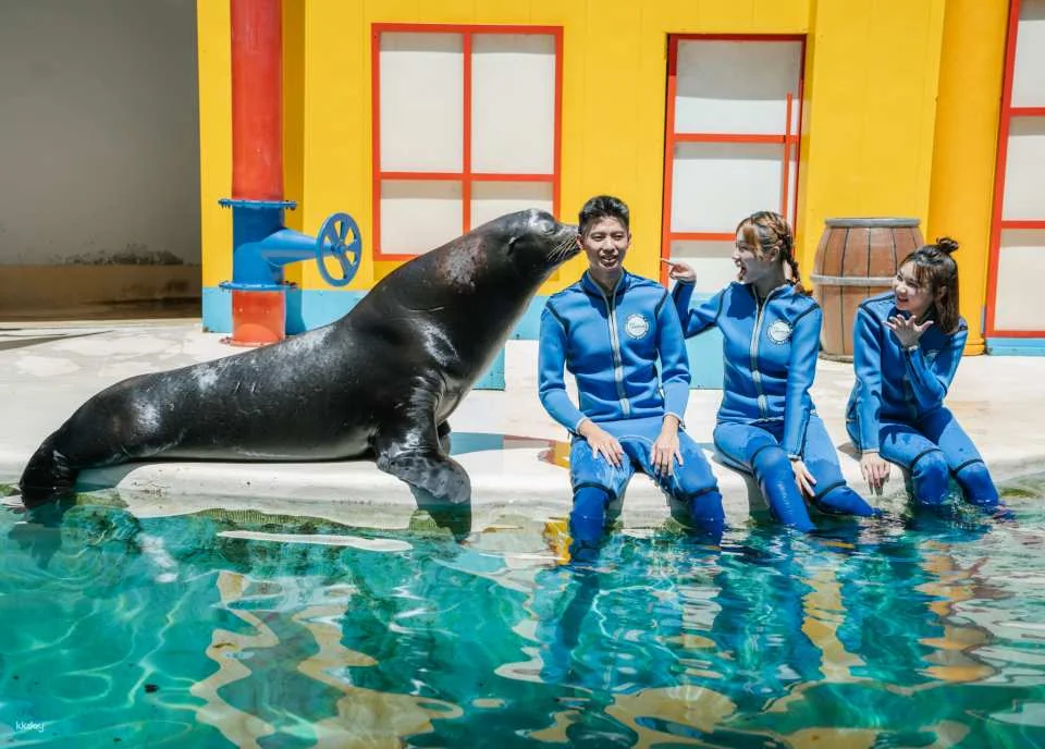 Farglory Ocean Park | Marine Correspondent Sea Lion Exploration Activity