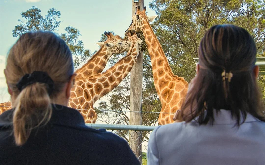 Featherdale Wildlife Park Tickets Image 6