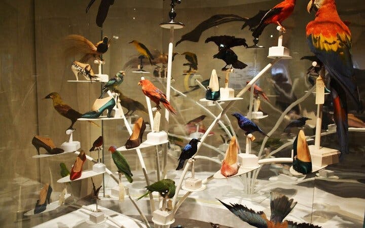 Ferragamo Museum in Florence Image 4