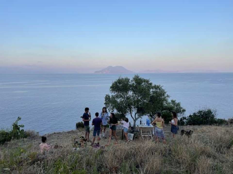 Filicudi vineyard stroll and Tuscia wine tasting experience