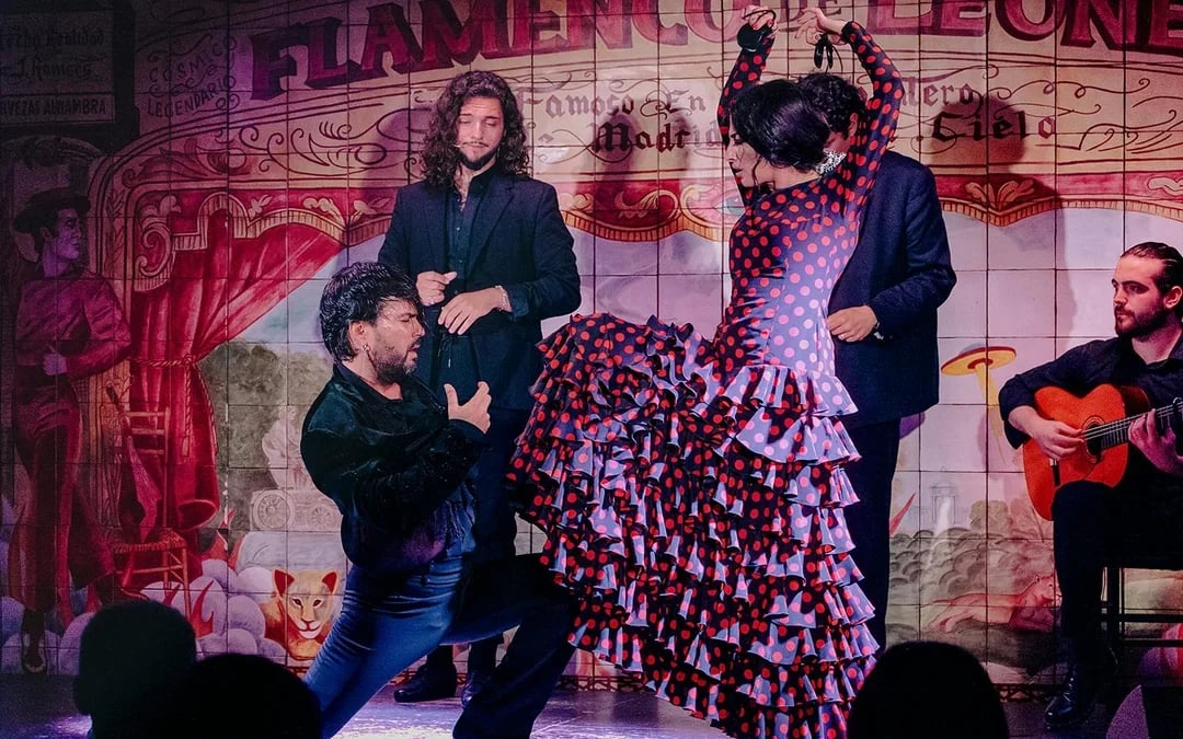 Flamenco De Leones - Flamenco Show Image 1