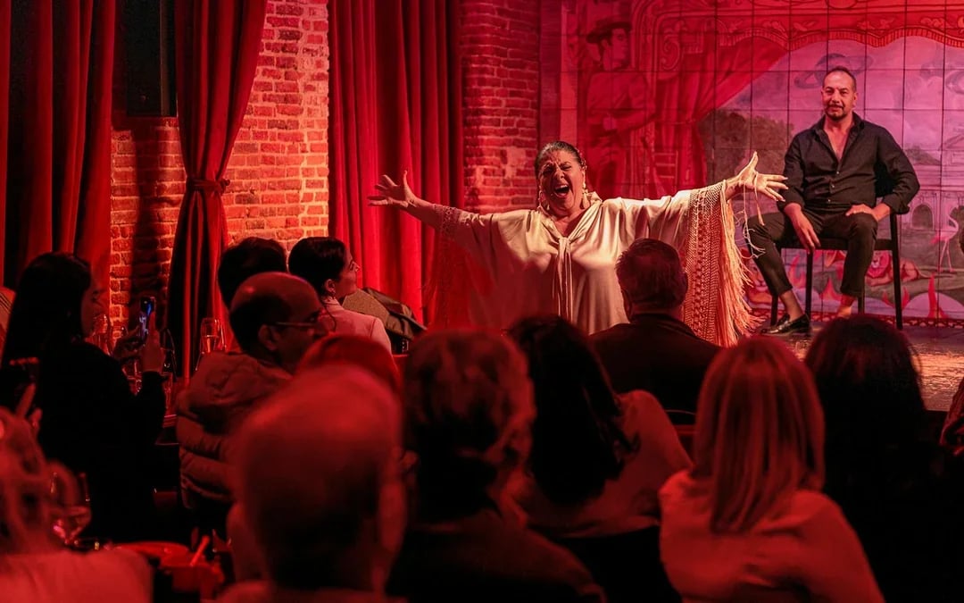 Flamenco De Leones - Flamenco Show Image 3
