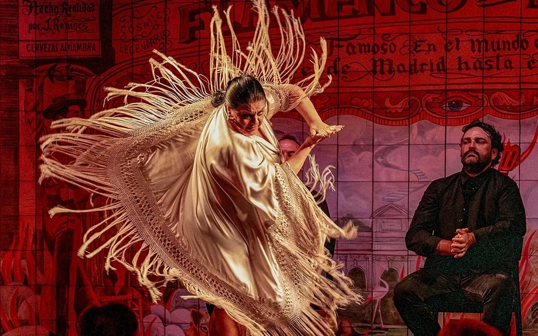Flamenco De Leones - Flamenco Show Image 6