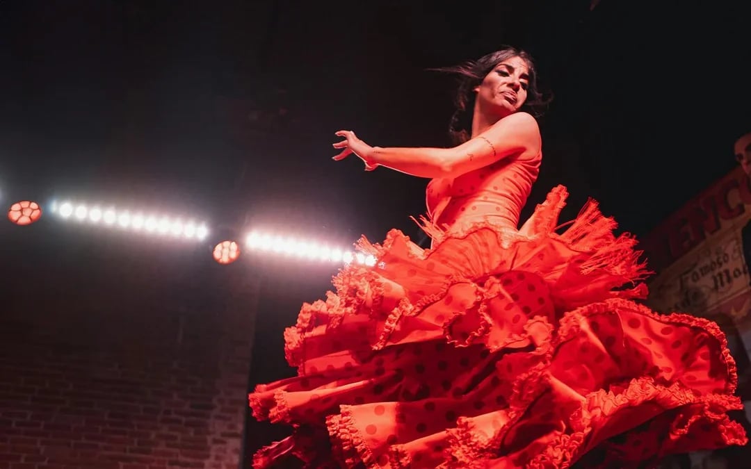 Flamenco De Leones - Flamenco Show Image 7