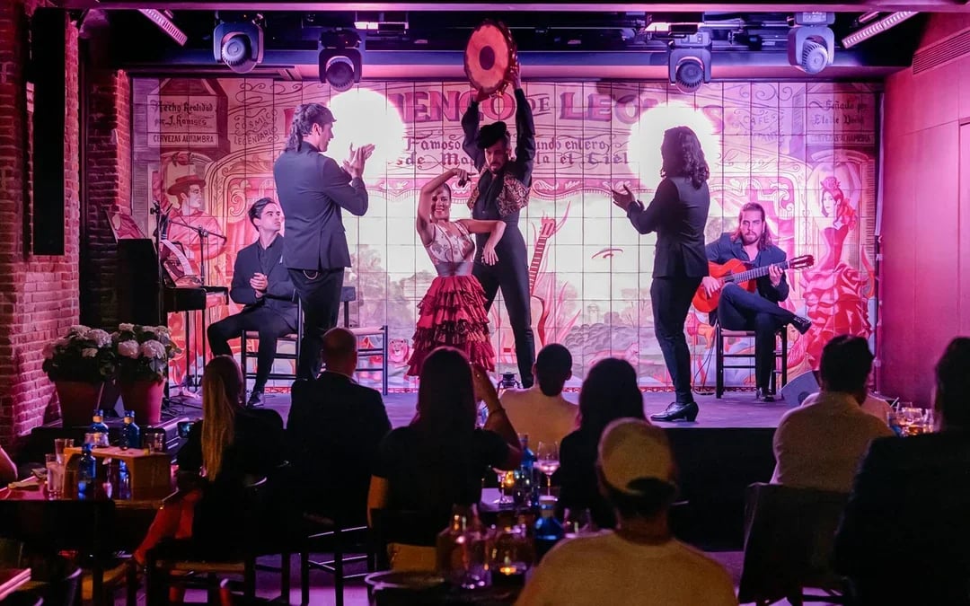 Flamenco De Leones - Flamenco Show Image 8