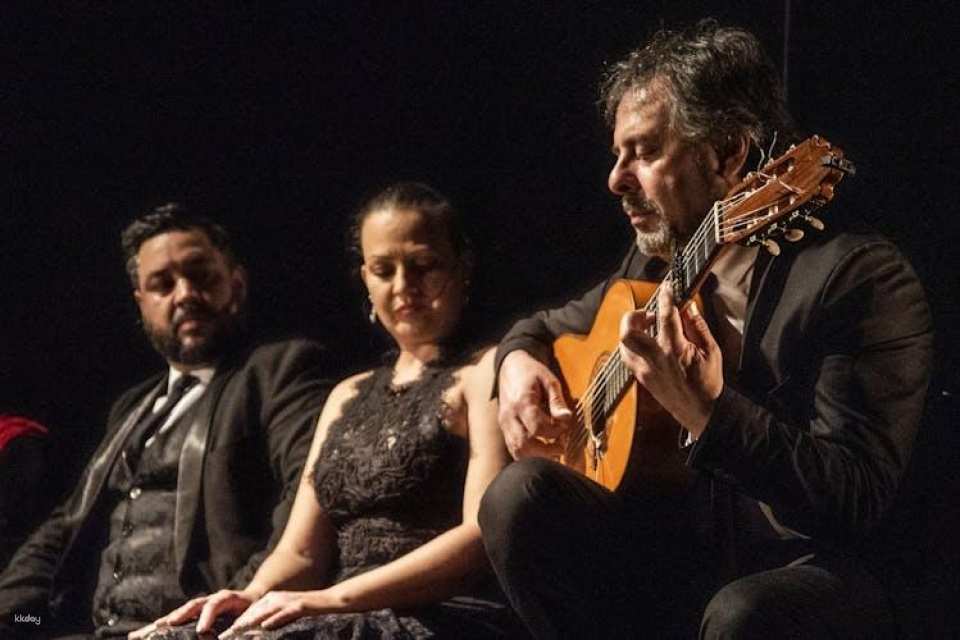 Flamenco Theatre Madrid tickets