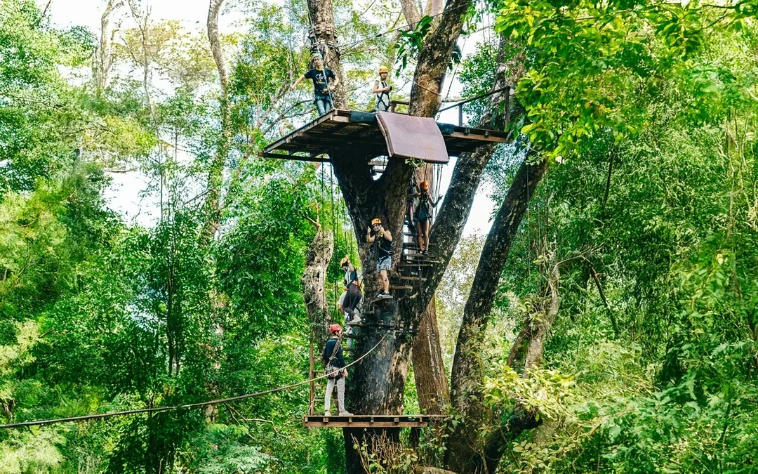 Flying Hanuman: 12 Platforms Zipline Adventure with Optional Round-Trip Transfers

 Image 2