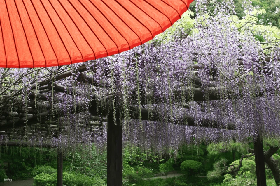 Tickets for Keio Mogusaen Garden, Tokyo