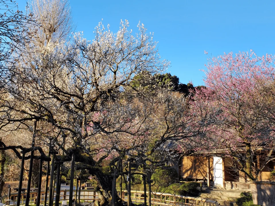 Tickets for Keio Mogusaen Garden, Tokyo