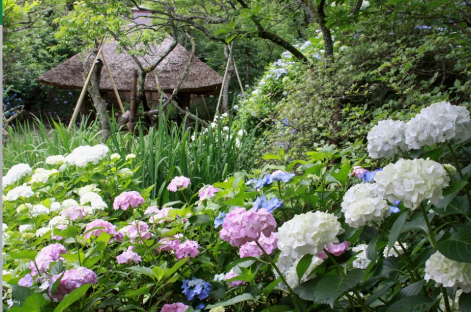 Tickets for Keio Mogusaen Garden, Tokyo