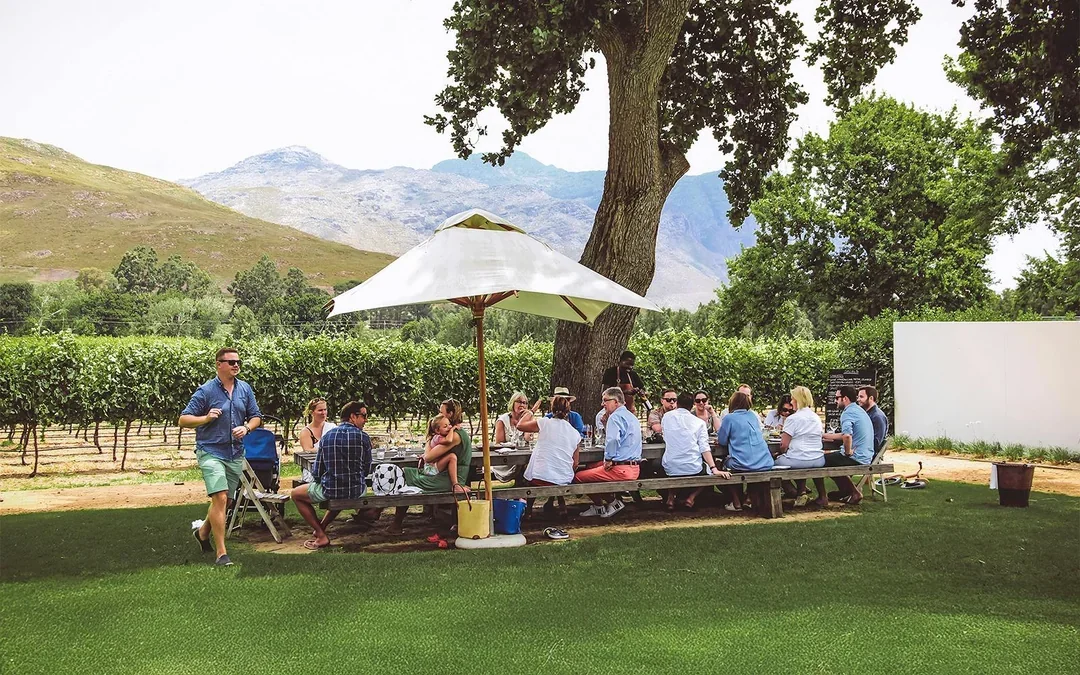 Franschhoek Hop-On-Hop-Off Wine Tram Tour Image 3