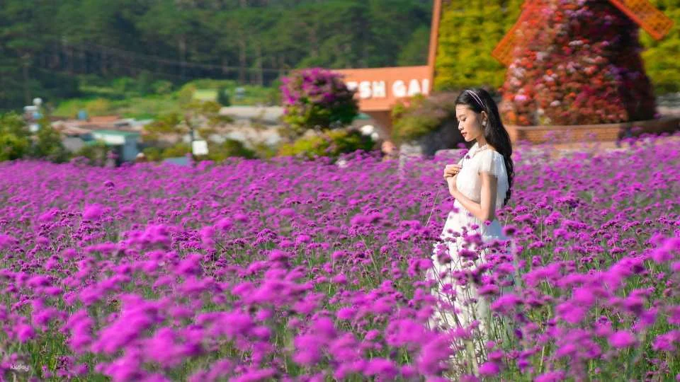 Fresh Garden Da Lat Tickets