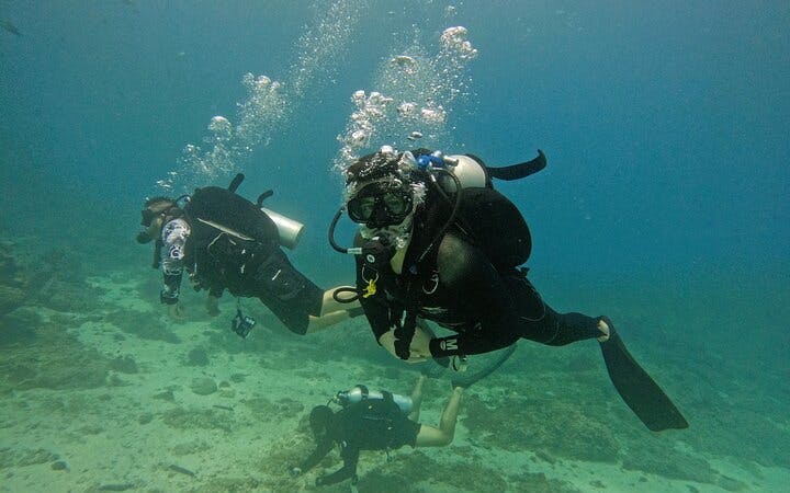 From Abu Dhabi: Fujairah Certified Diver Day Trip with 2 Guided Boat Dives, Equipment and Transfers Image 3