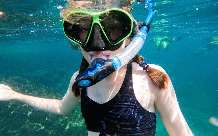From Abu Dhabi: Fujairah Snorkeling Day Trip with  Transfer Image 4