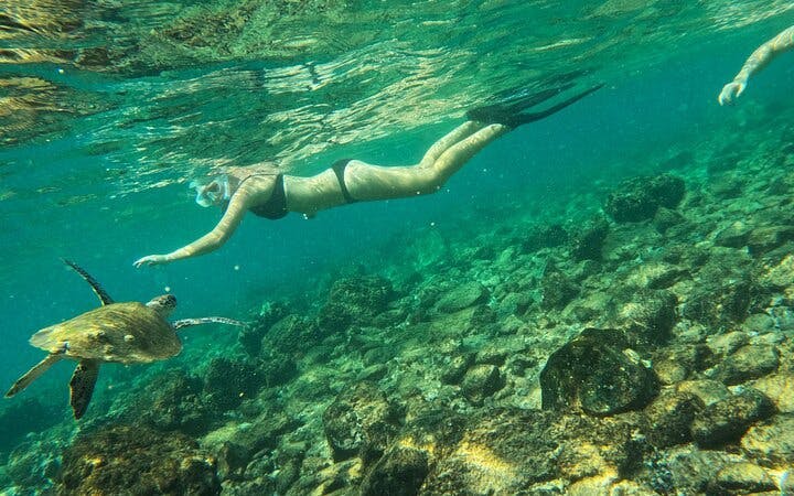 From Abu Dhabi: Fujairah Snorkeling Day Trip with  Transfer Image 5