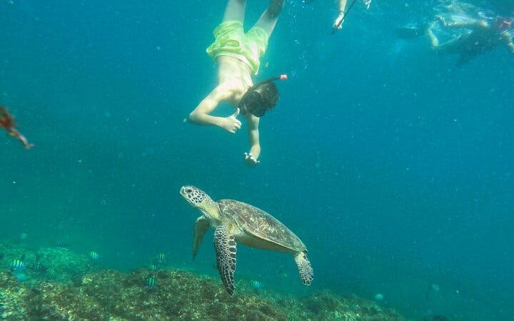 From Abu Dhabi: Fujairah Snorkeling Day Trip with  Transfer Image 10