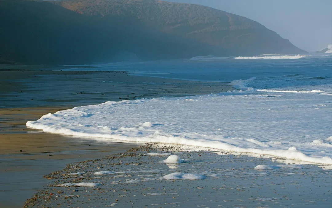 From Agadir: Legzira Beach & Tiznit Full-Day Guided Tour with Lunch Image 4