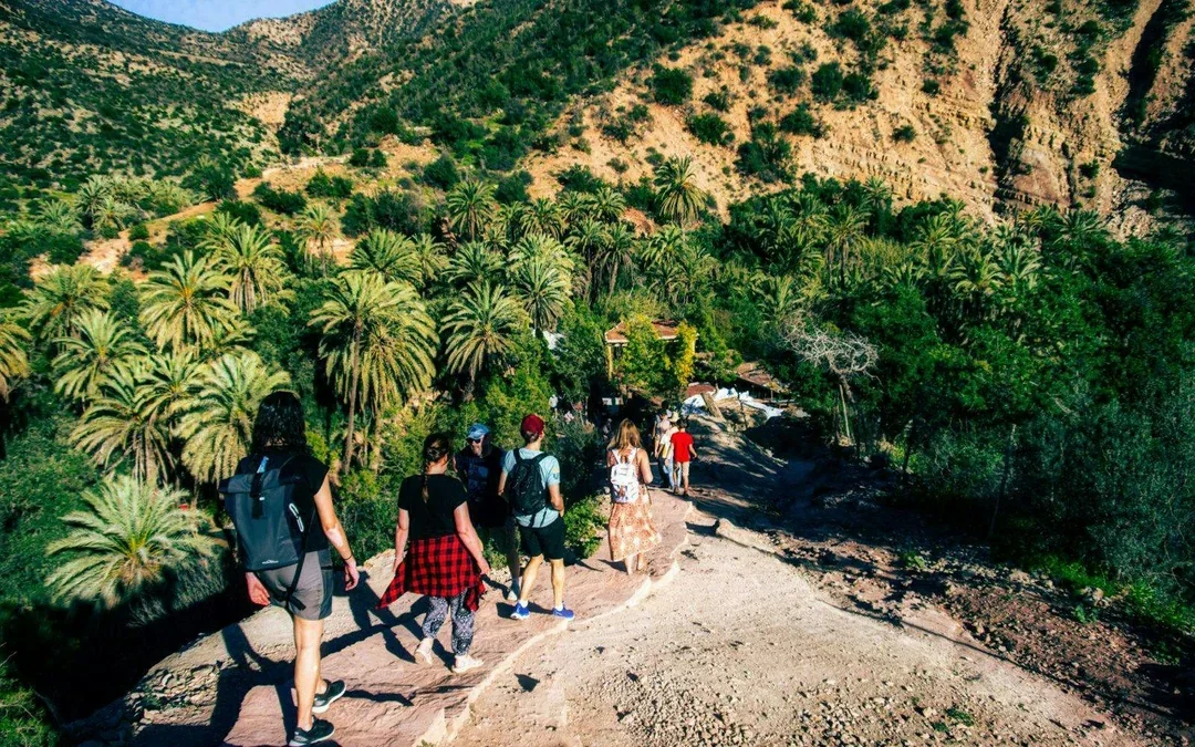 From Agadir: Paradise Valley & Natural Pools Half-Day Guided Tour with Transfers Image 2