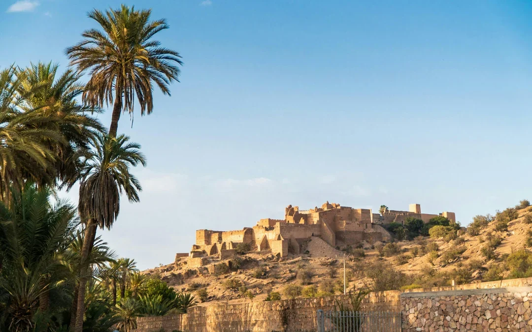 From Agadir: Taroudant & Tiout Oasis Full-Day Guided Tour with Lunch Image 1