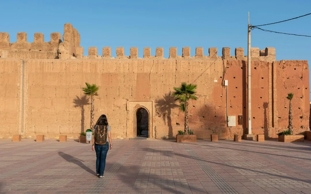 From Agadir: Taroudant & Tiout Oasis Full-Day Guided Tour with Lunch Image 7