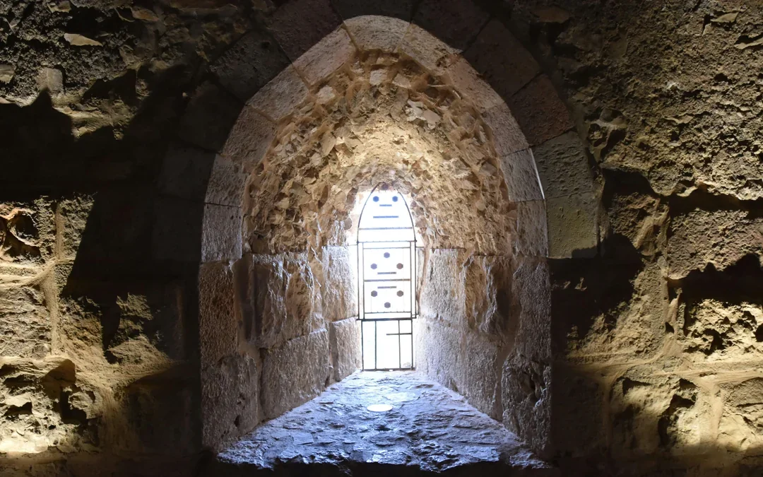 From Amman: Private Car Hire to Jerash, Ajloun Castle, and Umm Qais Image 1