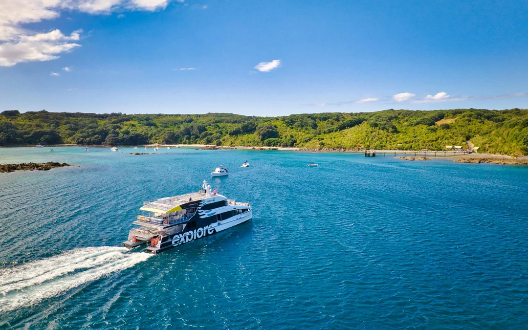 From Auckland: Tiritiri Matangi Island Day Trip with Return Ferry Image 1