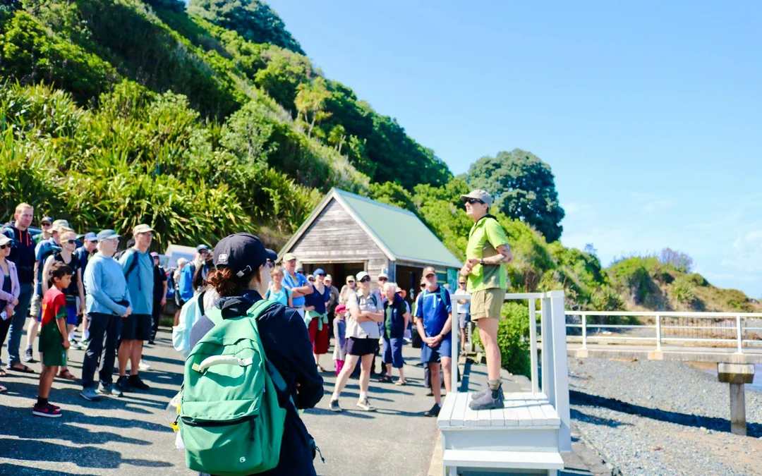 From Auckland: Tiritiri Matangi Island Day Trip with Return Ferry Image 2
