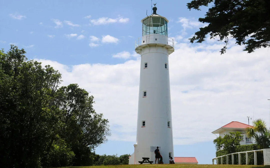 From Auckland: Tiritiri Matangi Island Day Trip with Return Ferry Image 3