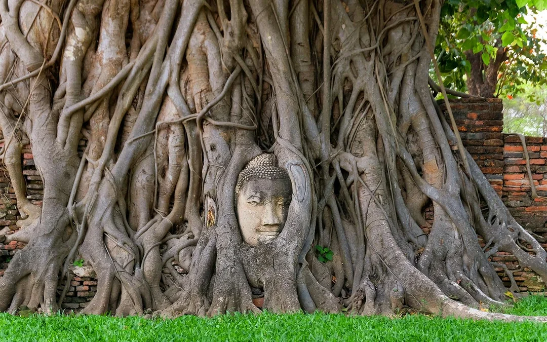 From Bangkok: Ayutthaya Temple, Railway Market & Damnoen Saduak Floating Market Full-Day Guided Tour with Lunch & Hotel Transfers Image 10