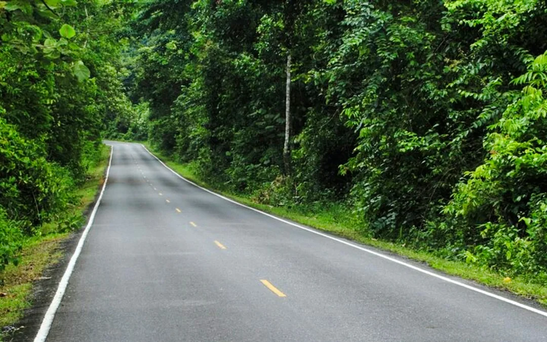 From Bangkok: Khao Yai National Park Small-Group Day Trip with Park Entrance Fee Image 4