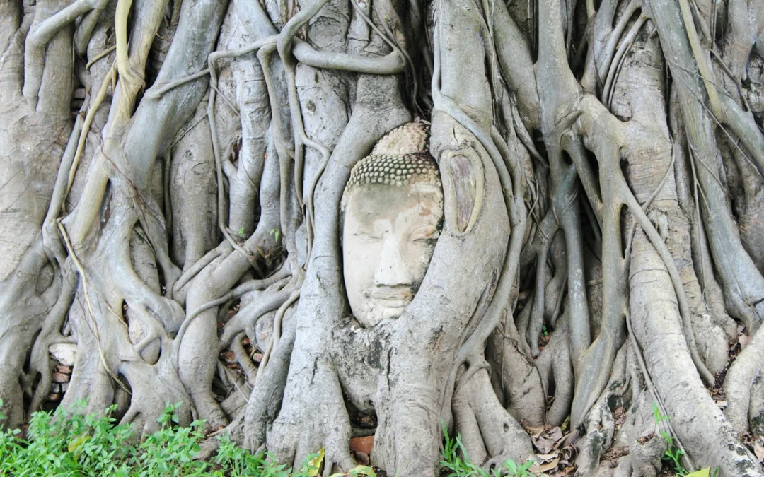 From Bangkok: Private UNESCO Ayutthaya Historical Park Tour with Frog-Headed Tuk-Tuk Ride and Local Market Image 1