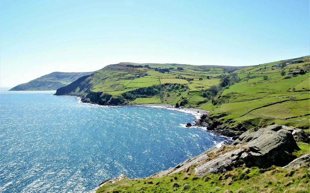 From Belfast: Giant's Causeway & Game of Thrones Film Locations Full-Day Tour Image 5