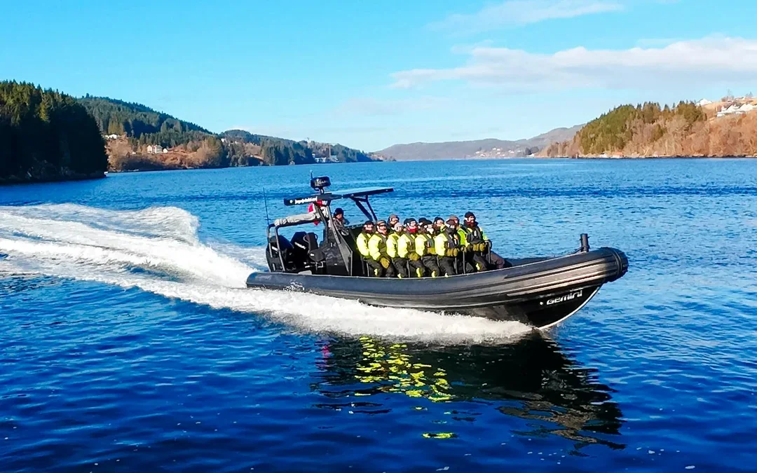 From Bergen: Alversund Fjord Premium RIB Safari Image 4