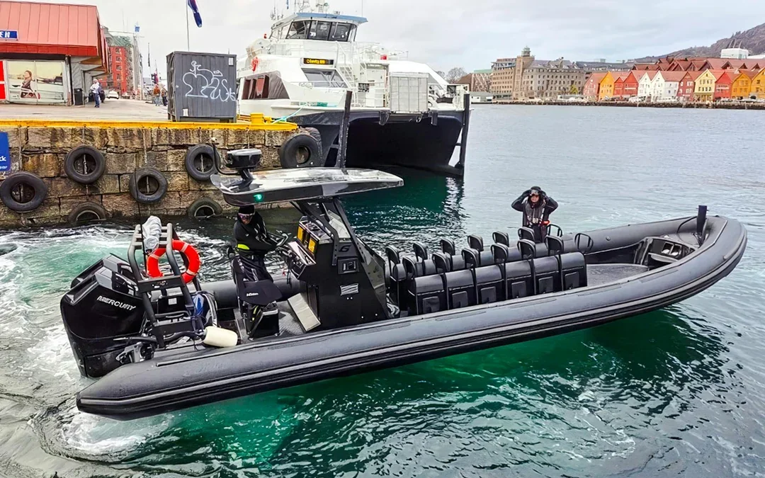 From Bergen: Alversund Fjord Premium RIB Safari Image 6