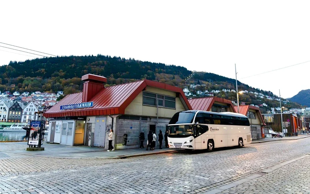 From Bergen: Day Trip to Viking Village & UNESCO Fjord Cruise from Flam Image 12