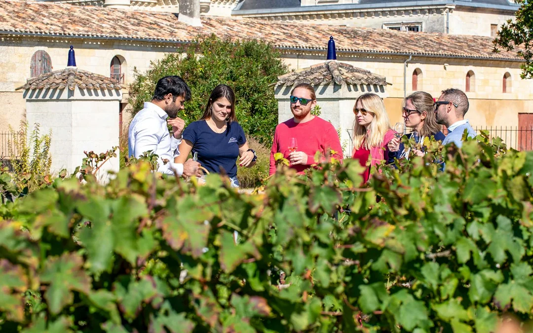 From Bordeaux: Saint-Émilion Full-Day Guided Tour with Lunch Image 2