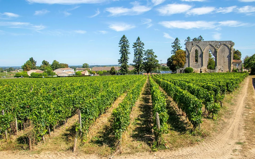 From Bordeaux: Saint-Émilion Full-Day Guided Tour with Lunch Image 10