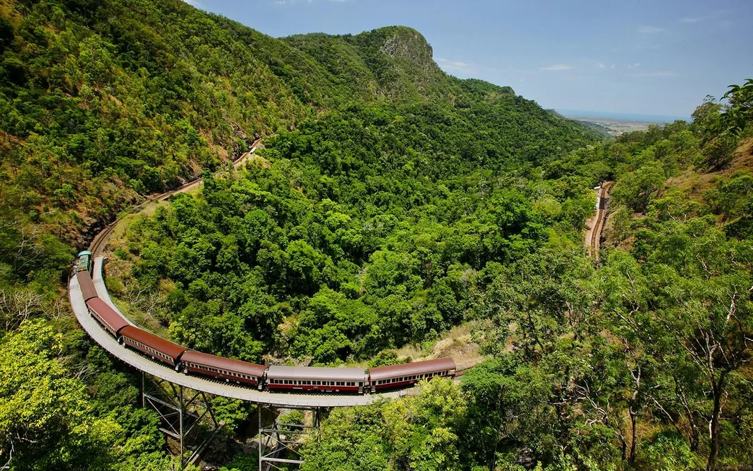 From Cairns: Scenic Train with Gold Class & Skyrail Kuranda Tour with Transfers Image 1