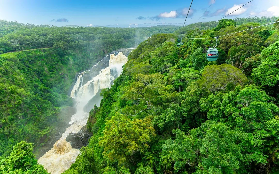 From Cairns: Scenic Train with Gold Class & Skyrail Kuranda Tour with Transfers Image 12